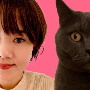 WEB、グラフィック、DTPデザイン