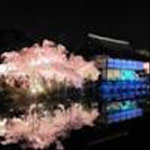 DaiS_19900102