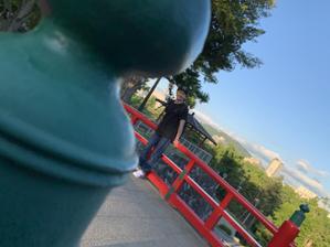 村木