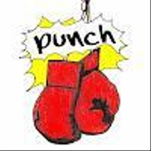 punch516