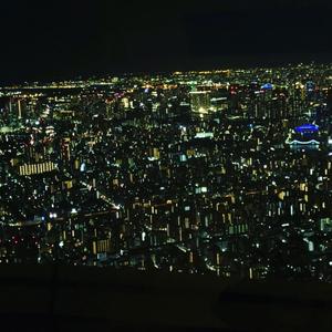 狭間悠