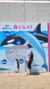 つづけん