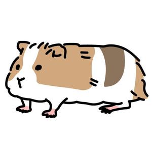 佐藤ことり