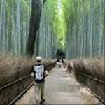 JavaScript プログラミング