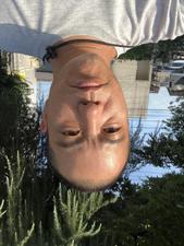 大和