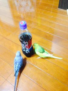 uzumakiryu
