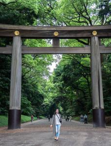 ぞん