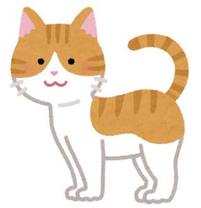 こびと