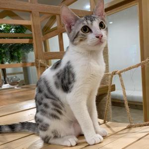 岩田 陽子