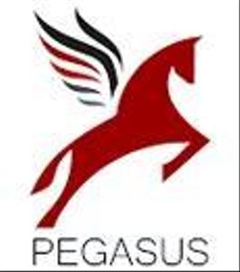 Pegasus