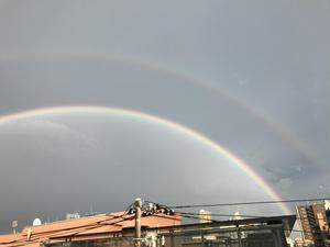 日野