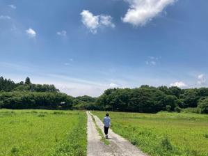 かず
