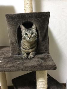 山下