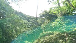 intero