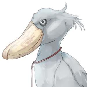ENGO