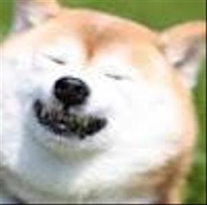 yudai