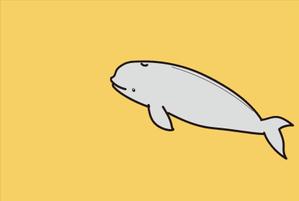 めぐみ