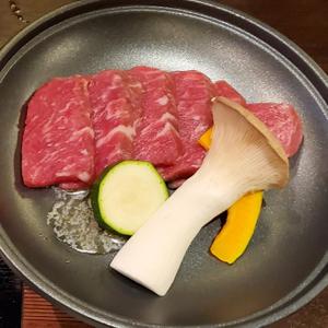 kondo_y