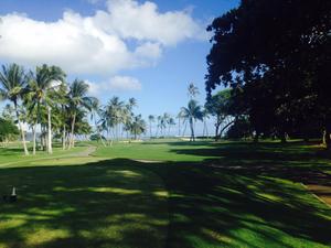 MulticultureSportfan