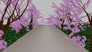 桜道