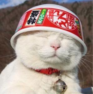 アメダス