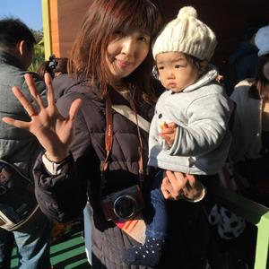 mayu