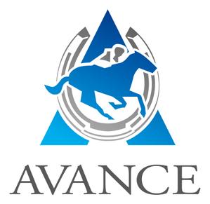 AVANCE合同会社