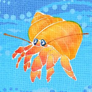 mioimo