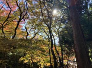 川北一颯