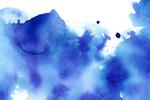 Lily_design