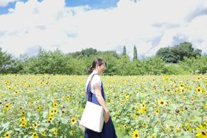 shino
