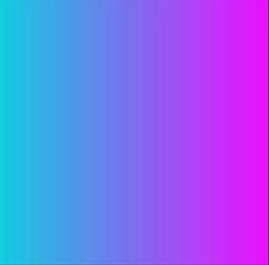 HsTk