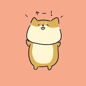 hikapan