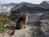 wistar_evans0817-p53