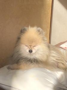 こと