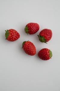 Nogu