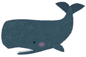 クジラ