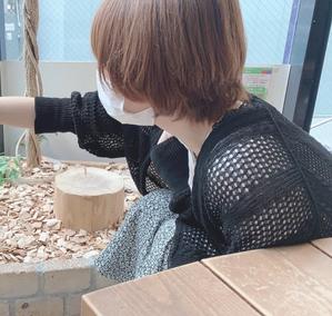 芦田ちの