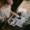 tiny_design_n
