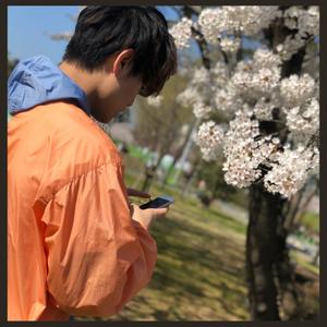 田村将真