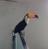 smart_design_project