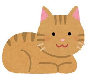 mochi