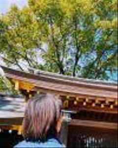 yokkotangt