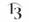 13Project