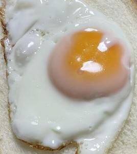 fried_egg