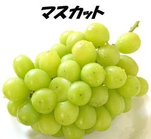 マスカット
