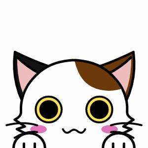 星野ライト