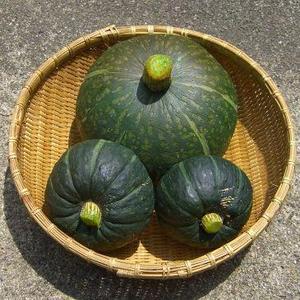 saiendanshi