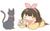 shima_miwa