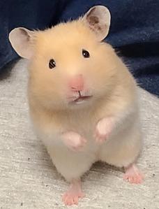 ここで出会ったのも何かのご縁。